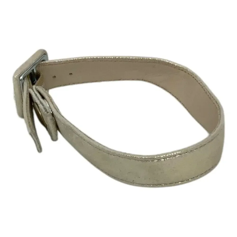 Champagne Metallic Faux Leather Adjustable Pet Collar Size Small NWT